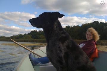 Pet Friendly Vacation Rentals In Elkhorn Wi Bringfido