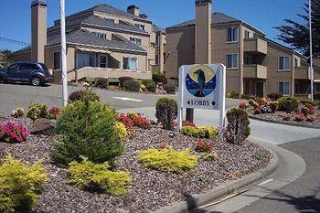 pets at home castle marina