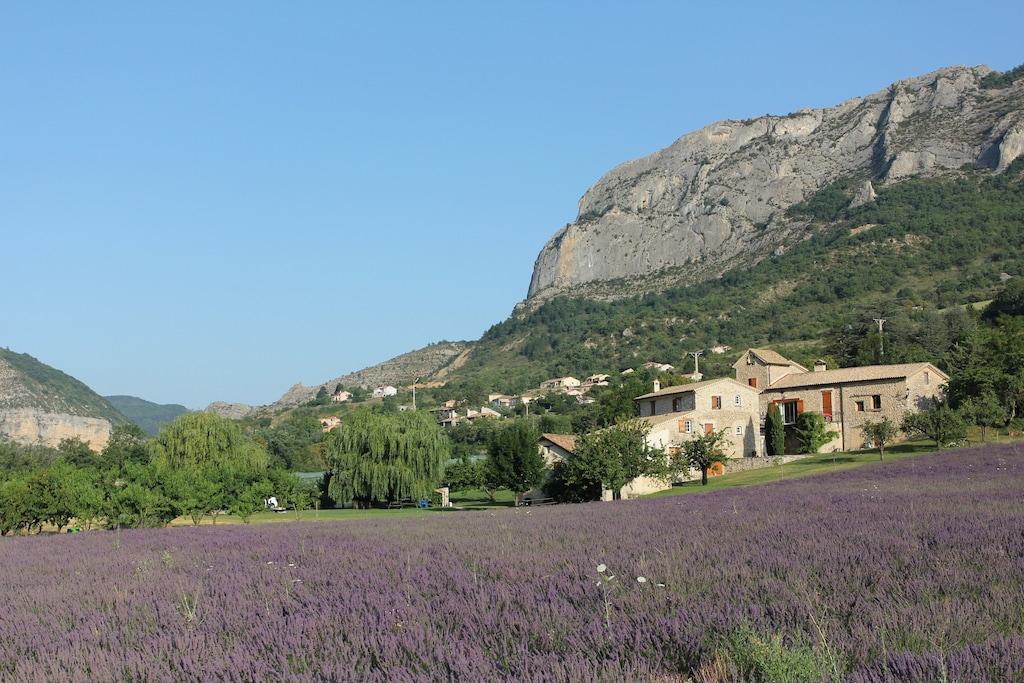 Pet Friendly Large Provencal House with Huge Garden
