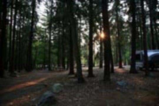Pet Friendly Burlingame State Park Campground