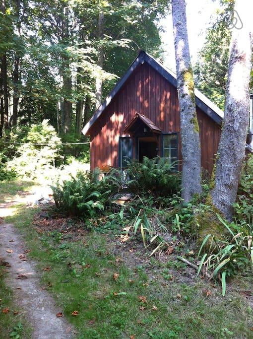 Pet Friendly Camano Island Airbnb Rentals