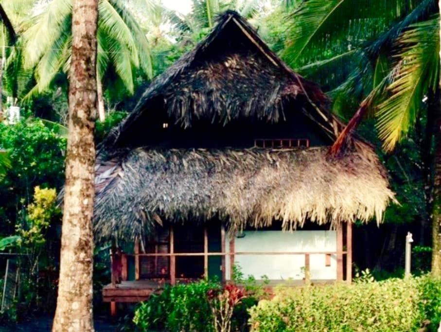 Pet Friendly Playa Zancudo Airbnb Rentals