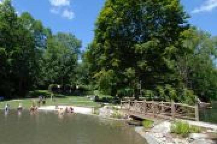 Pet Friendly Taconic (Copake Falls) Campground