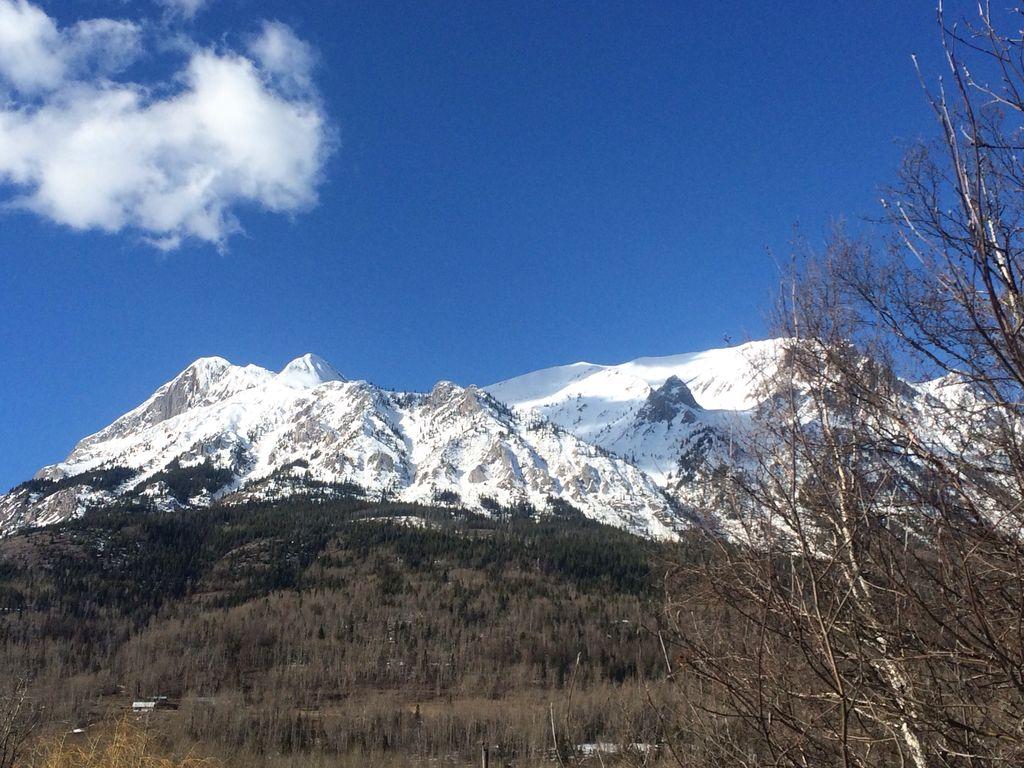 Fernie Alpine Resort Pet Policy