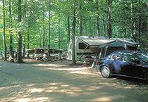 Pet Friendly Four Seasons Campground