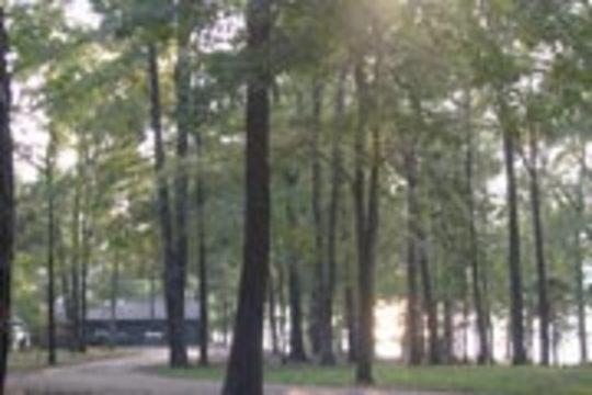 Pet Friendly George P Cossar Campground
