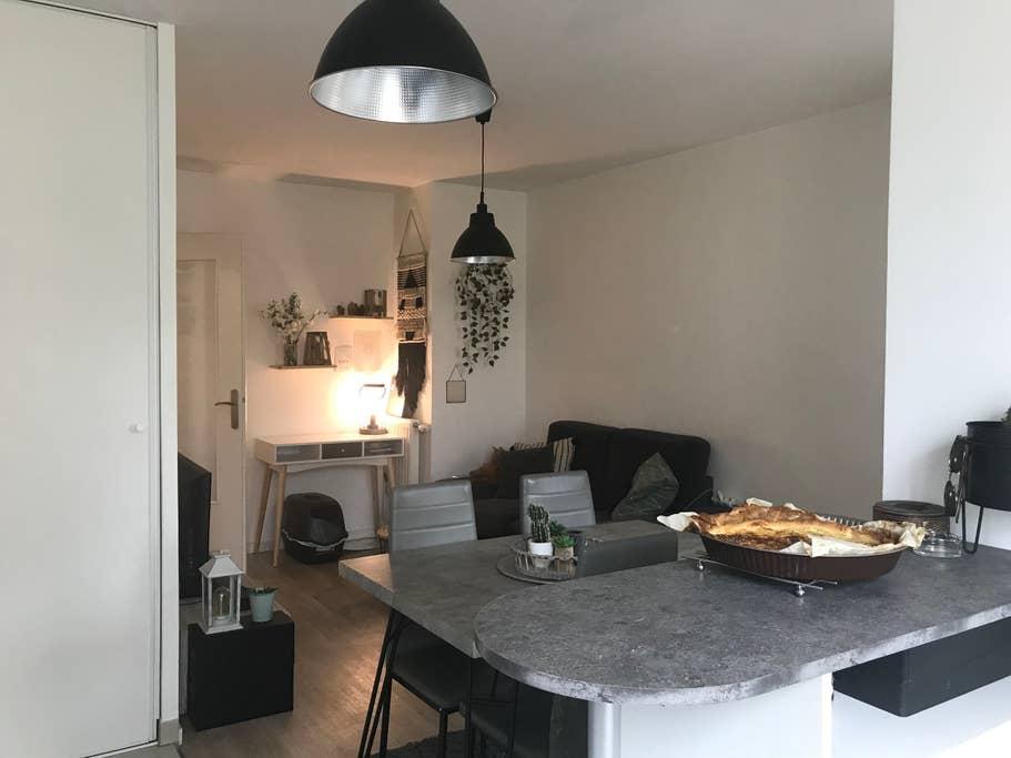 Pet Friendly Carrieres sous Poissy Airbnb Rentals