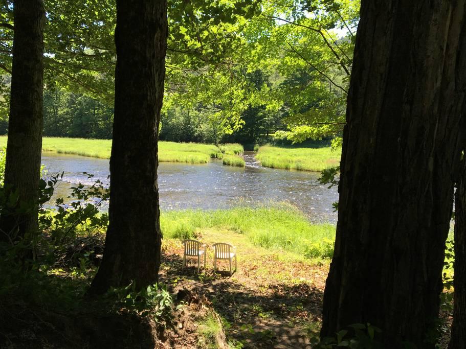 Franklin Airbnb Rentals Pet Policy