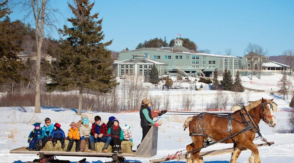 Pet Friendly Policy - Deerhurst Resort - Muskoka