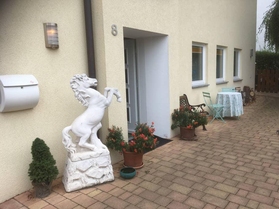 Pet Friendly Heilbronn Airbnb Rentals