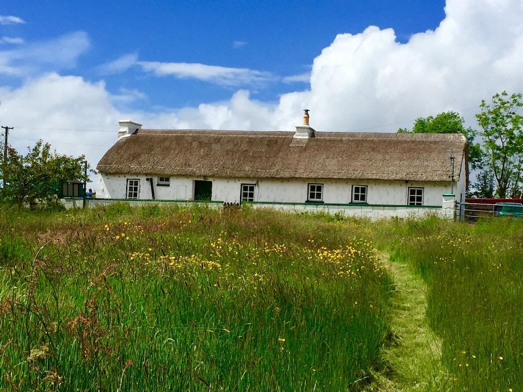 Pet Friendly Traditional Thatched Cottage Near the Sea