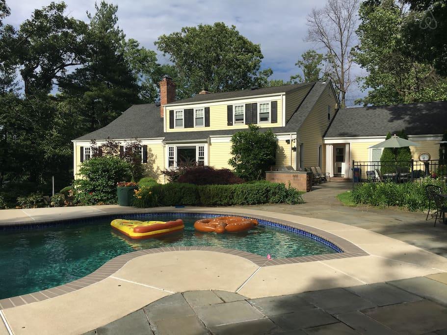 Pet Friendly Springfield Airbnb Rentals