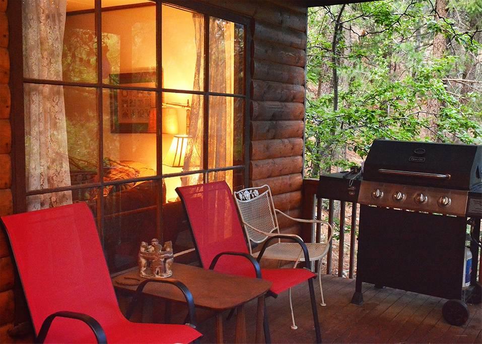 Pet Friendly Vacation Rentals In Mount Lemmon Az Bringfido