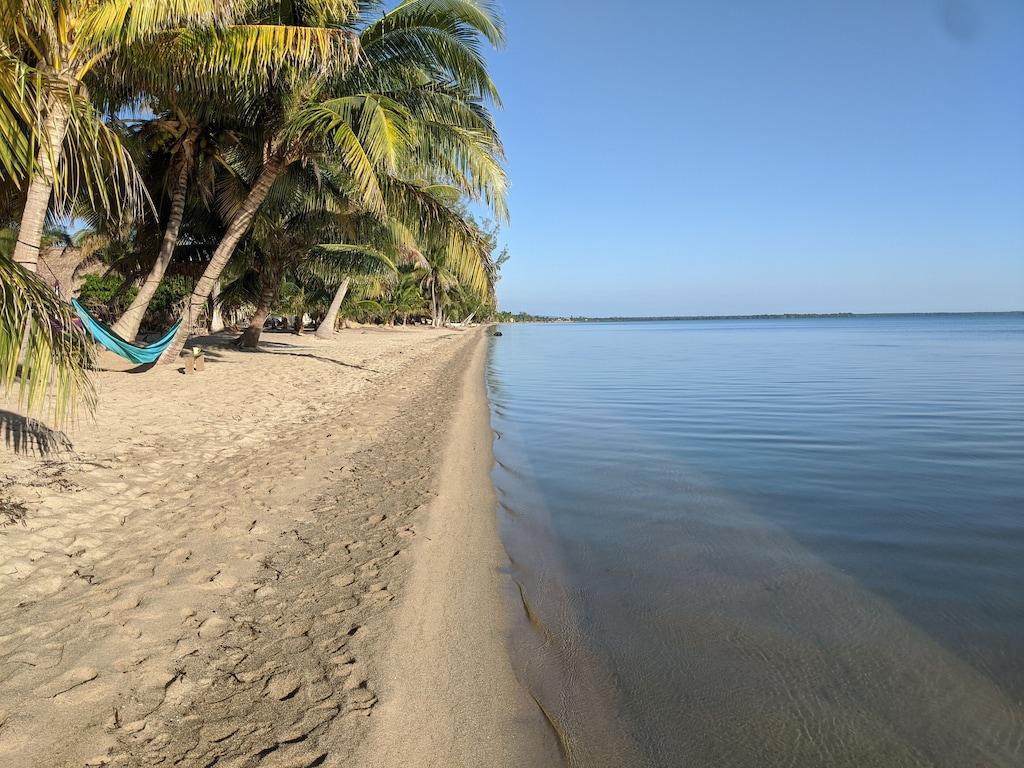 Cobia Beach Sleeps 12 Pet Policy