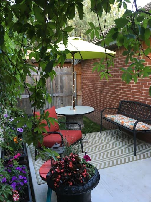 Pet Friendly Amarillo Airbnb Rentals