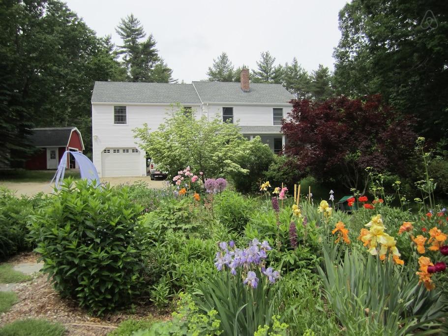 Northwood Airbnb Rentals Pet Policy