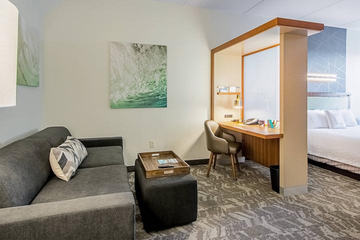 Pet Friendly SpringHill Suites by Marriott Tampa North/I 75 Tampa Palms