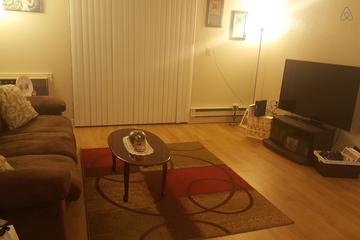 Pet Friendly Vacation Rentals In San Jose Ca Bringfido
