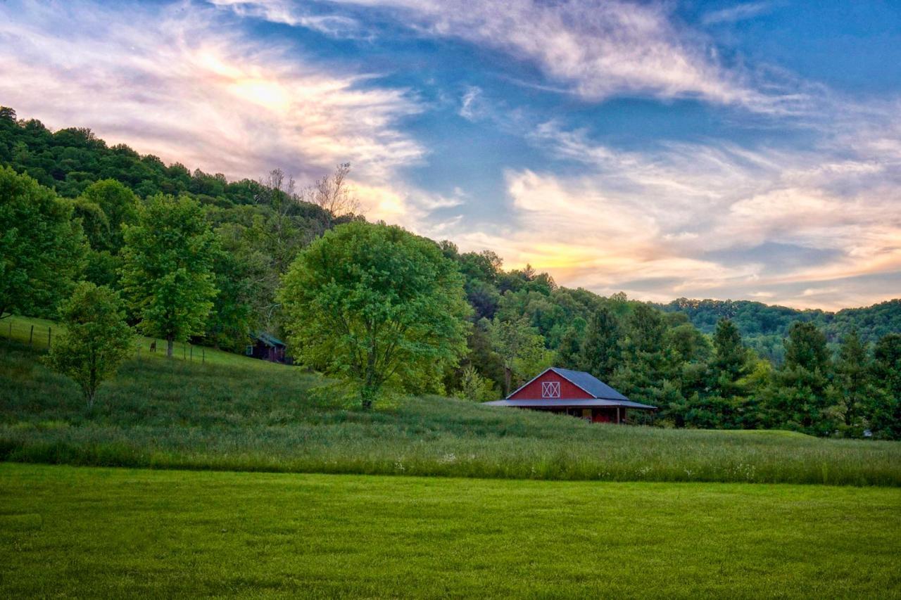 Pet Friendly Mountain Springs Cabins