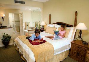Marriott S Shadow Ridge Pet Policy