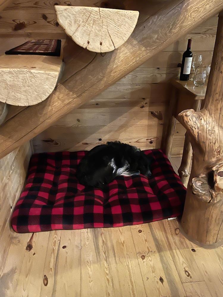 Pet Friendly The Craighill Cabin