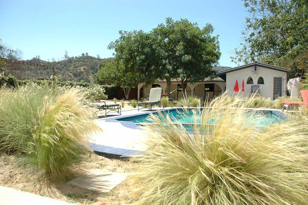 Pet Friendly Glendale Airbnb Rentals