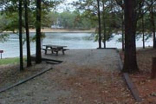 Pet Friendly Twin Lakes Campground