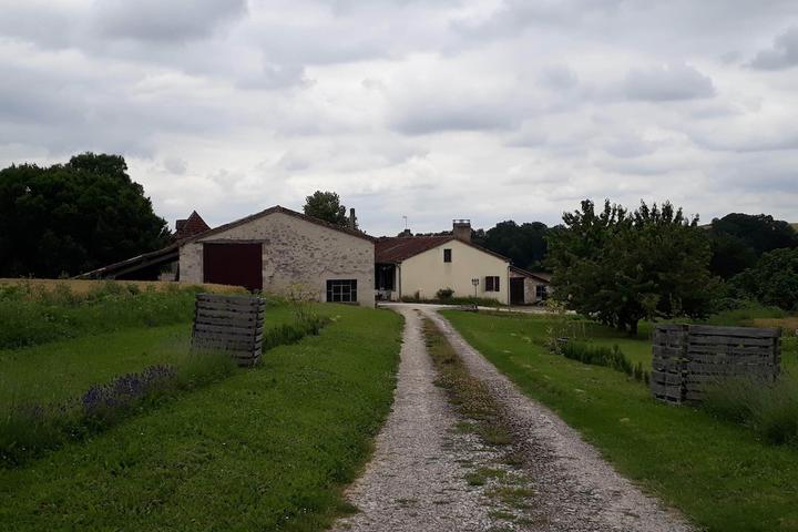 Pet Friendly Farm in the Countryside