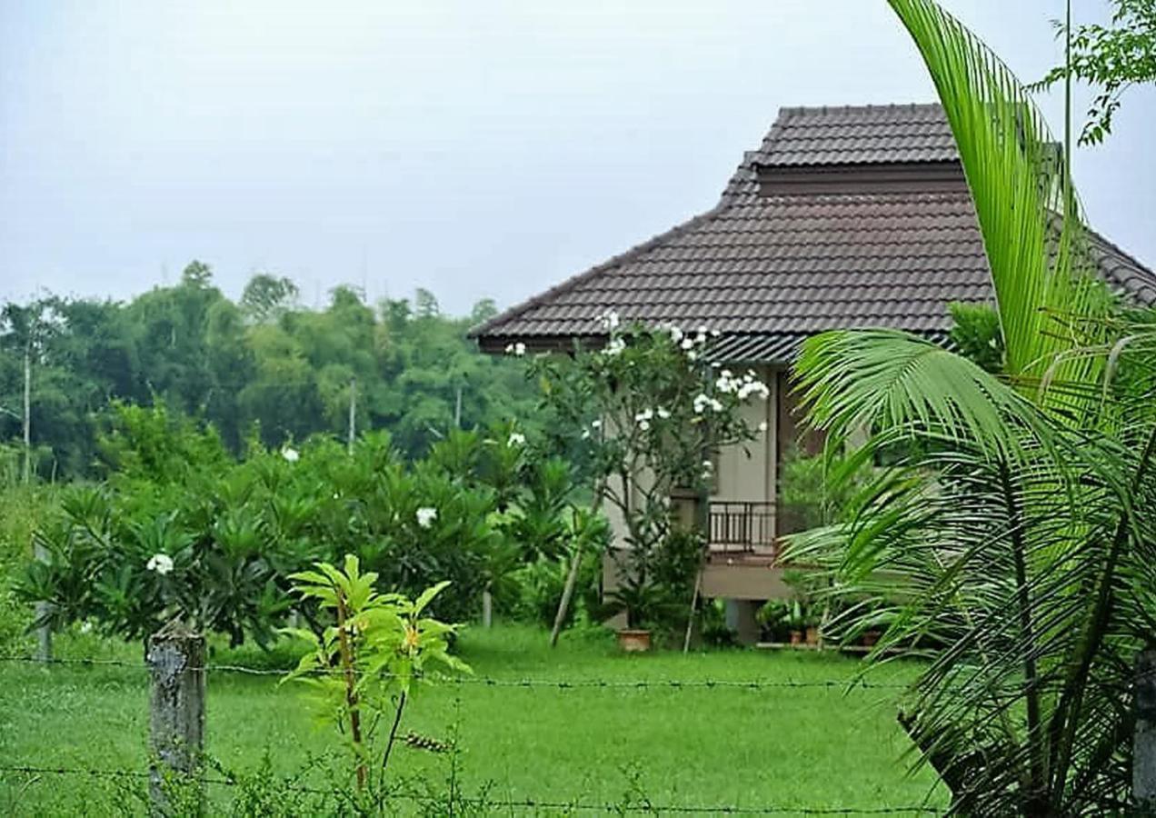 Pet Friendly Jamjuree Garden