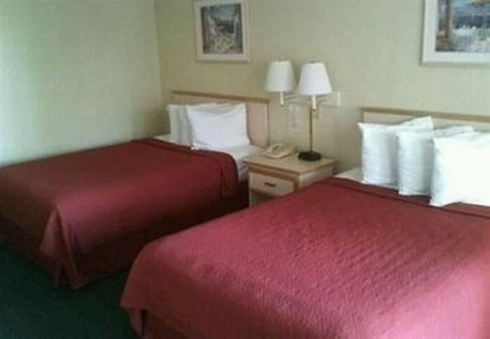 Saint Cloud Airbnb Rentals Pet Policy Saint Cloud Airbnb Rentals Pet Policy