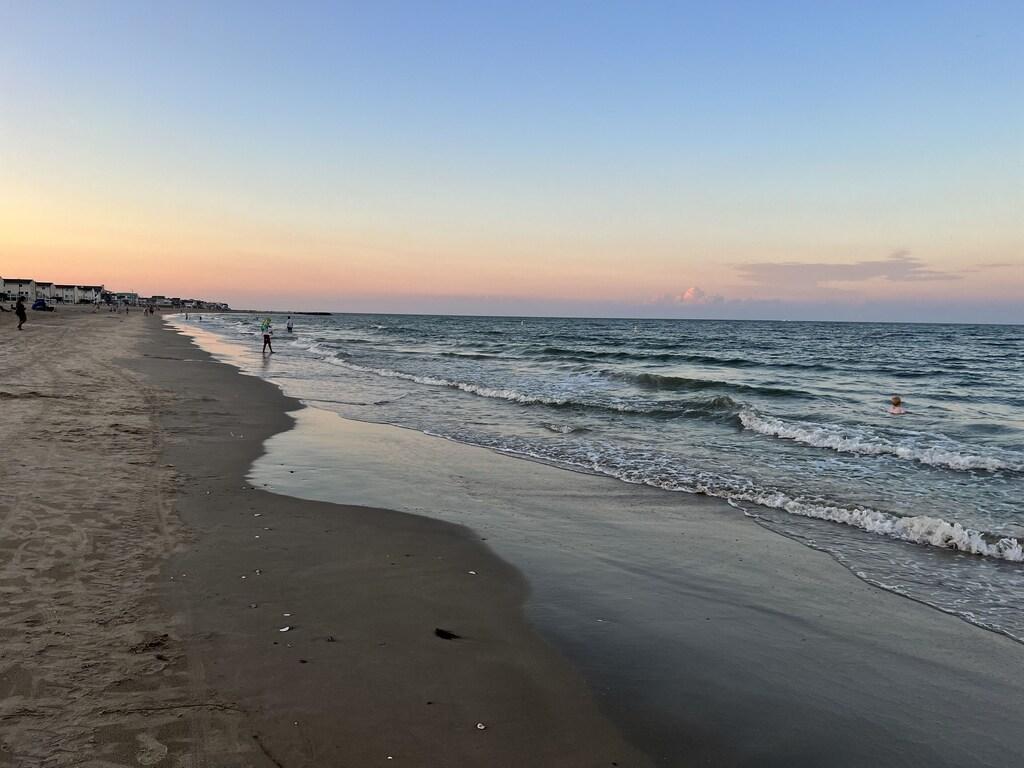 Spacious Hampton Home Pet Policy