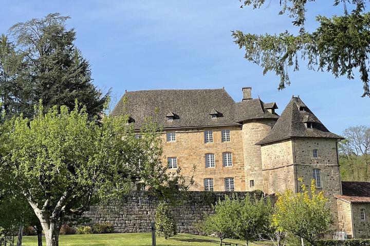 Pet Friendly Elegant Castle in the Countryside