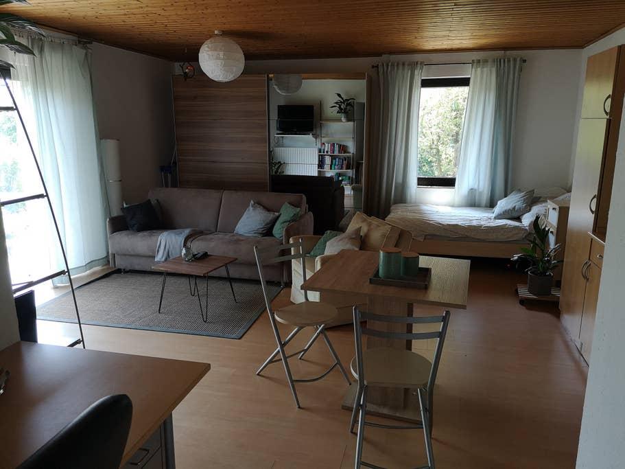 Pet Friendly Lippstadt Airbnb Rentals