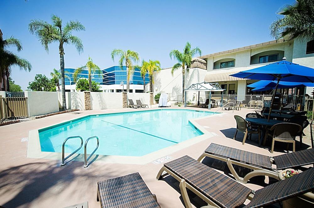 Pet Friendly Hotel d’Lins Ontario Airport