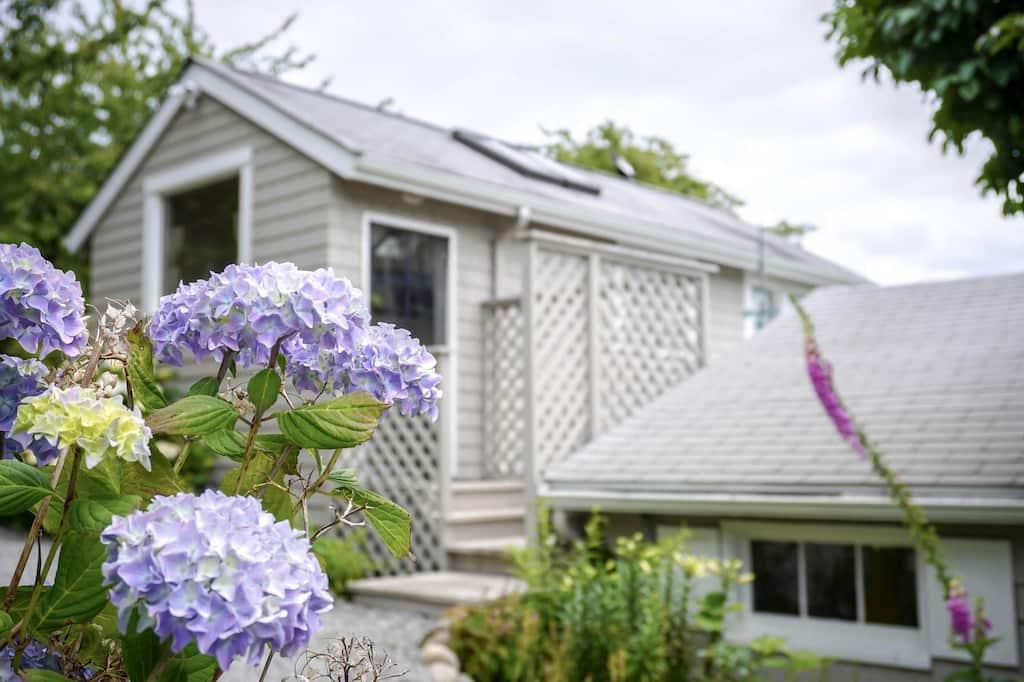 Vashon Island Loft & Beach Pet Policy