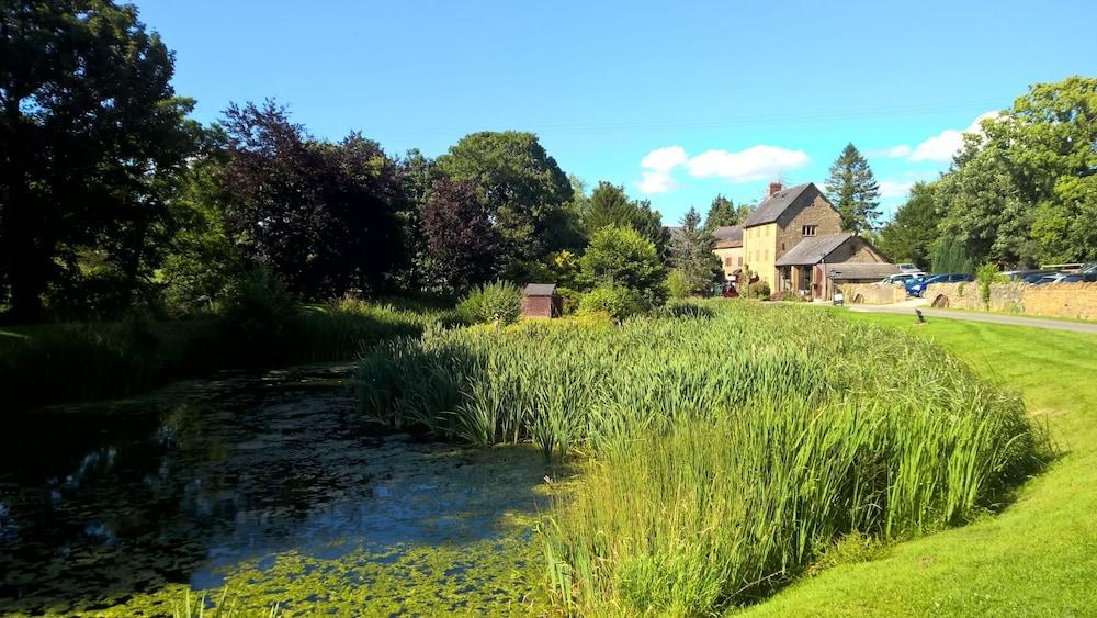 Pet Friendly Haselbury Mill Hotel and Restaurant