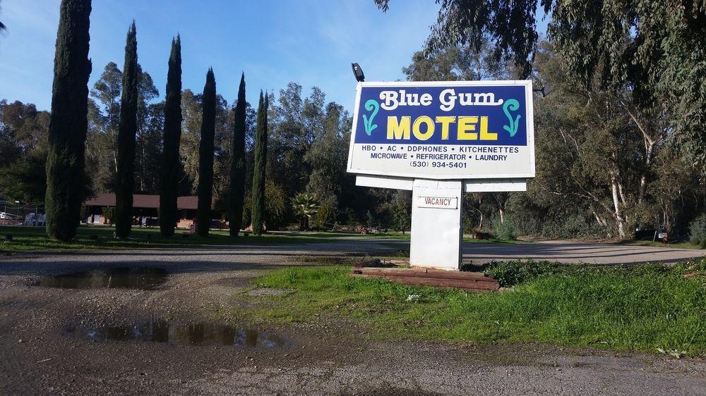 Blue Gum Motel Pet Policy