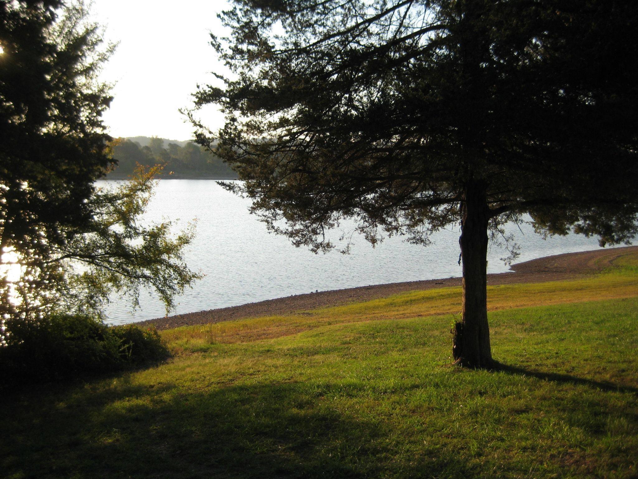 Horseshoe Bend Campground Pet Policy