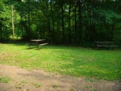 Pet Friendly Tall Oaks Campground