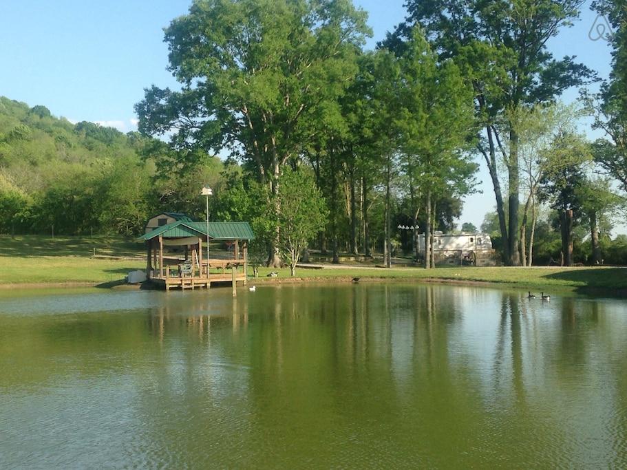 Lewisburg Airbnb Rentals Pet Policy