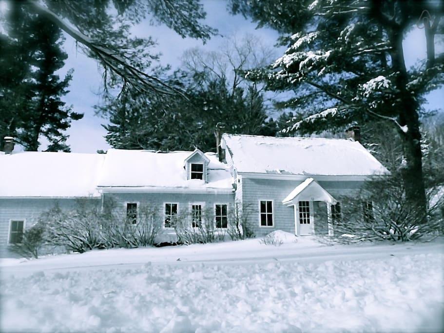 windham house boarding & grooming spa