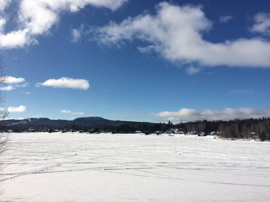 Saint Donat de Montcalm Airbnb Rentals Pet Policy