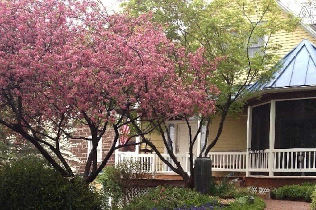 Pet Friendly Mechanicsburg Airbnb Rentals