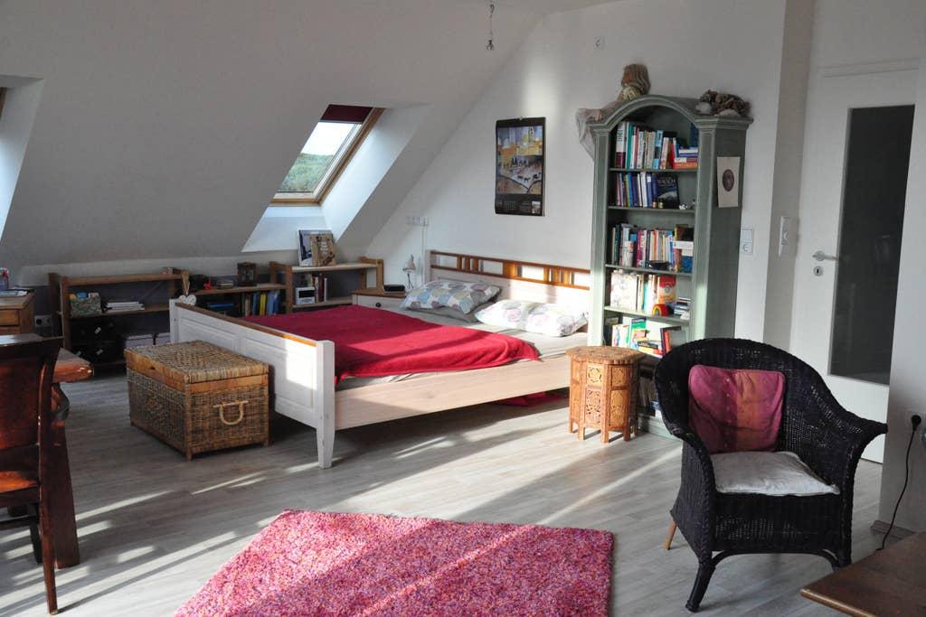Pet Friendly Kitzingen Airbnb Rentals