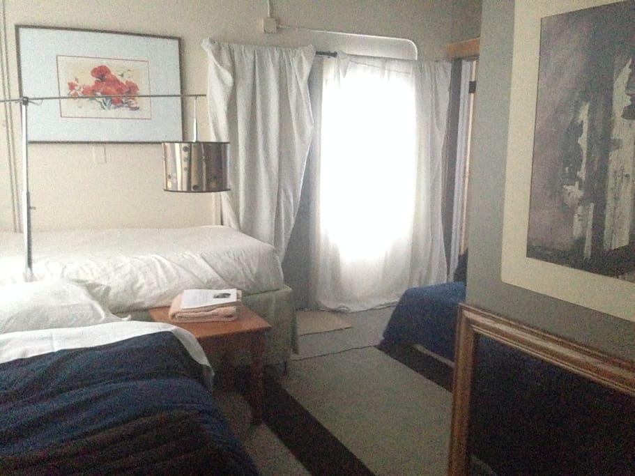 Telluride Airbnb Rentals Pet Policy