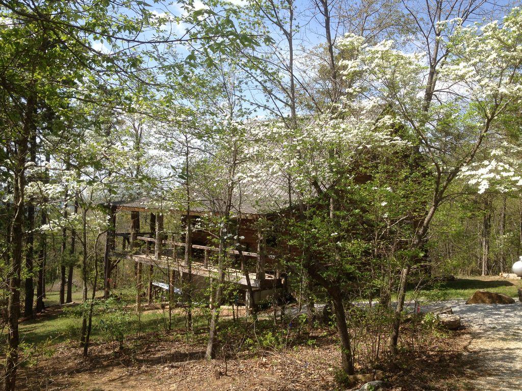 Pet Friendly Vacation Rentals In Jasper Ar Bringfido
