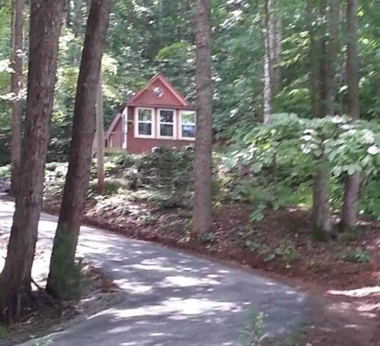 Pet Friendly Vacation Rentals In Sylva Nc Bringfido