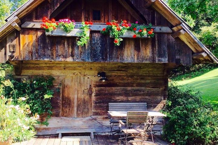 Pet Friendly Romantic Hut in the Rosental