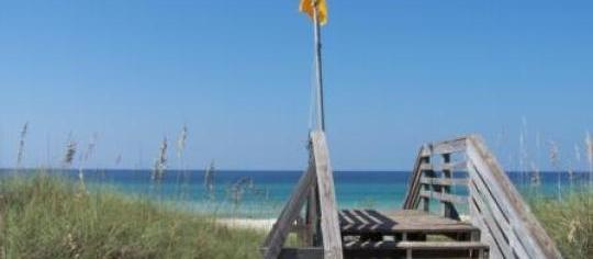 Picture of St. Andrews State Park Campground, a pet friendly campground in Panama City, FL. Picture of St. Andrews State Park Campground, a pet friendly campground in Panama City, FL.
