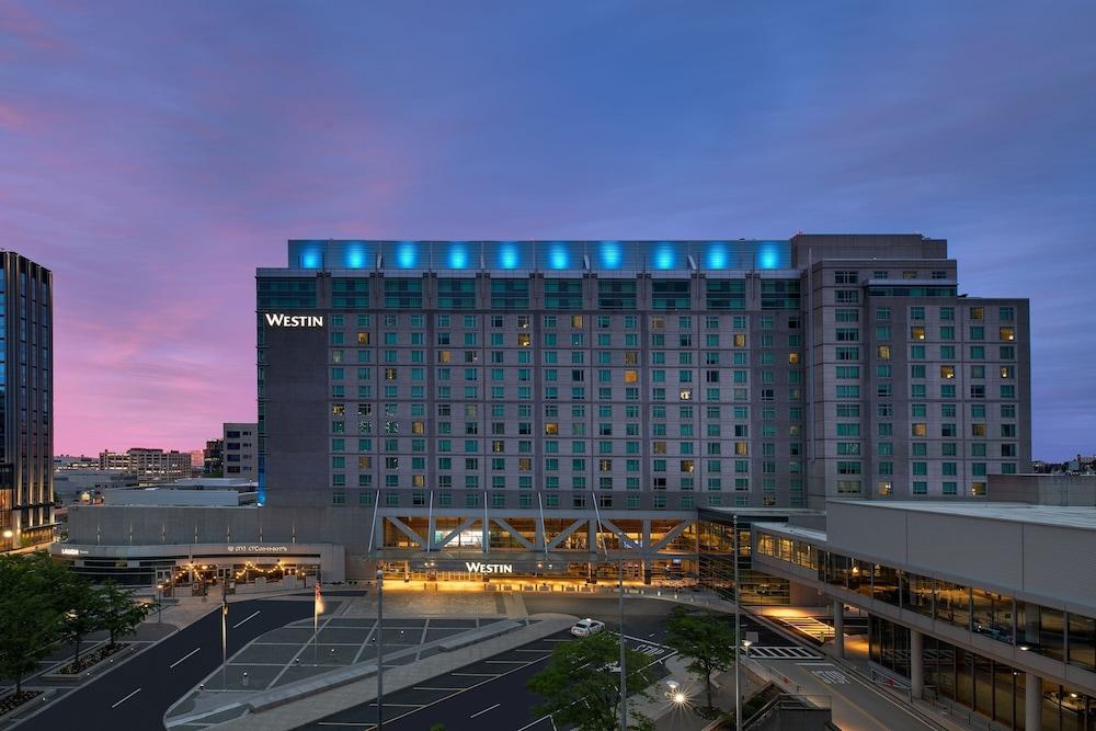 Hotels that allow dogs near me new arrivals